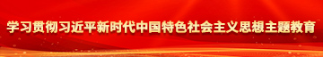 大鸡巴淫欲视频啊白学习贯彻习近平新时代中国特色社会主义思想主题教育